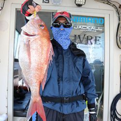 松本釣船２ 釣果