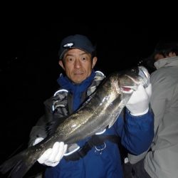 ルアー船マヒマヒ 釣果