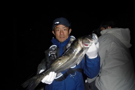 ルアー船マヒマヒ 釣果