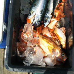 モンロー号 釣果