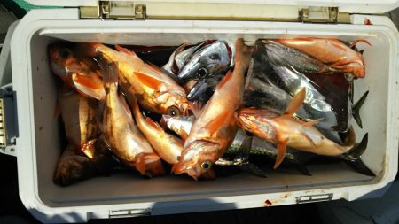 モンロー号 釣果