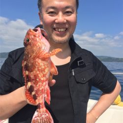 マタウマリンサービス 釣果