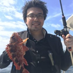 マタウマリンサービス 釣果