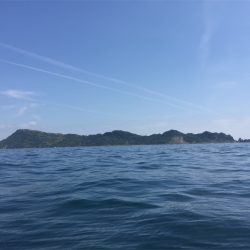 マタウマリンサービス 釣果