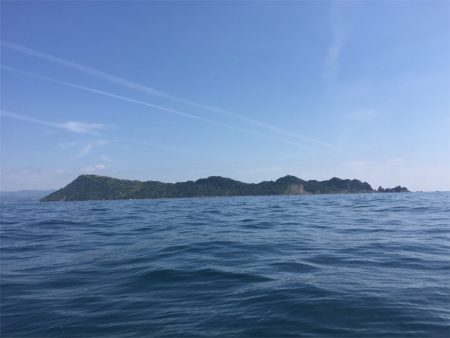 マタウマリンサービス 釣果