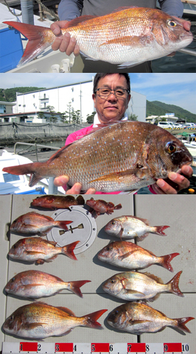 来温丸（らいおんまる） 釣果