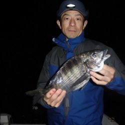 ルアー船マヒマヒ 釣果