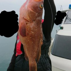 オーフリー 釣果