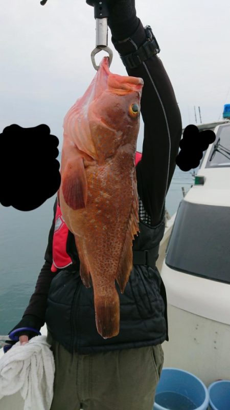 オーフリー 釣果