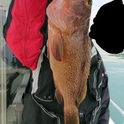 オーフリー 釣果