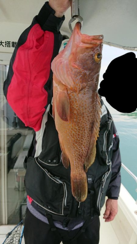 オーフリー 釣果