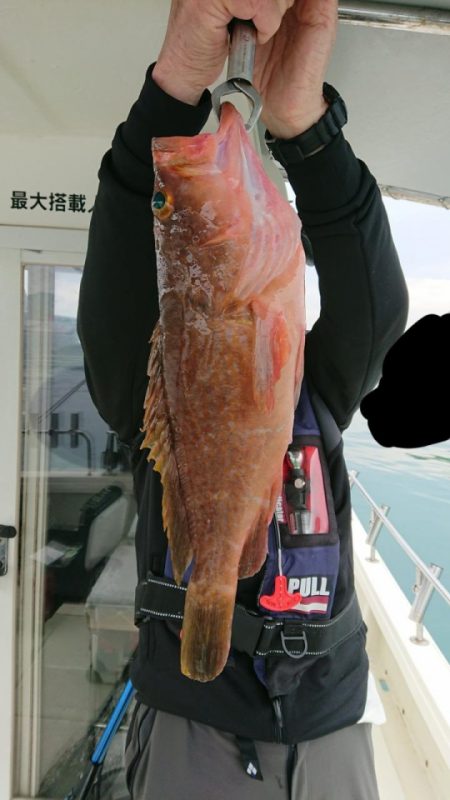 オーフリー 釣果