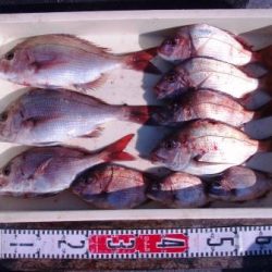 朝日丸 釣果