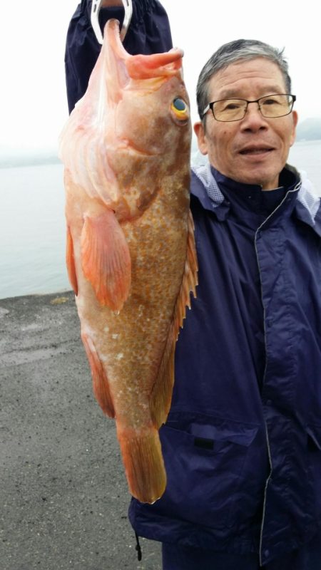 オーフリー 釣果