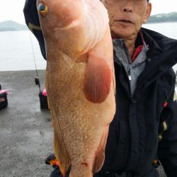 オーフリー 釣果