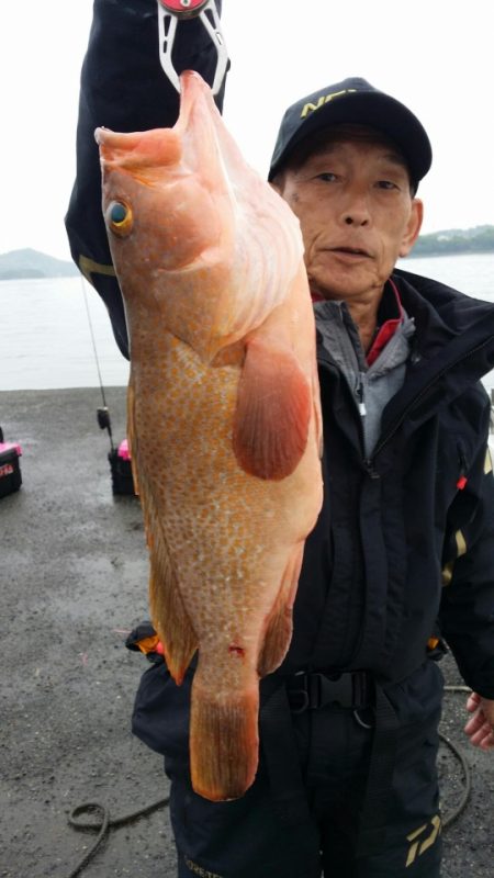 オーフリー 釣果