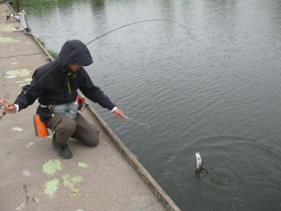 吉羽園 釣果