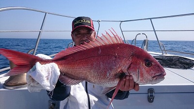 海龍丸(福岡) 釣果