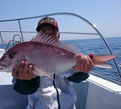 海龍丸(福岡) 釣果