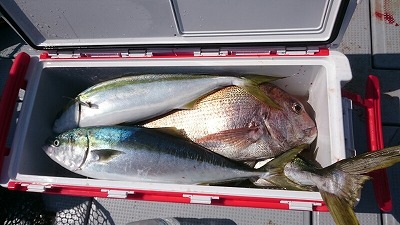 海龍丸(福岡) 釣果