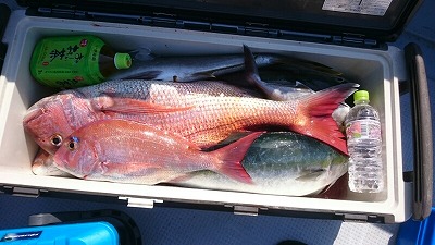 海龍丸(福岡) 釣果