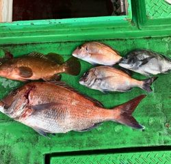 利弥丸（としやまる） 釣果