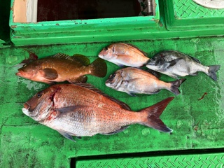 利弥丸（としやまる） 釣果