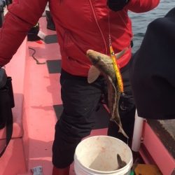 第八平成丸 釣果