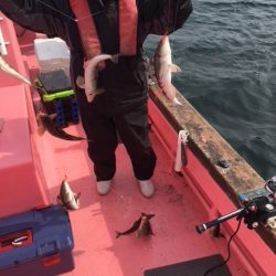 第八平成丸 釣果