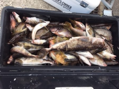 第八平成丸 釣果