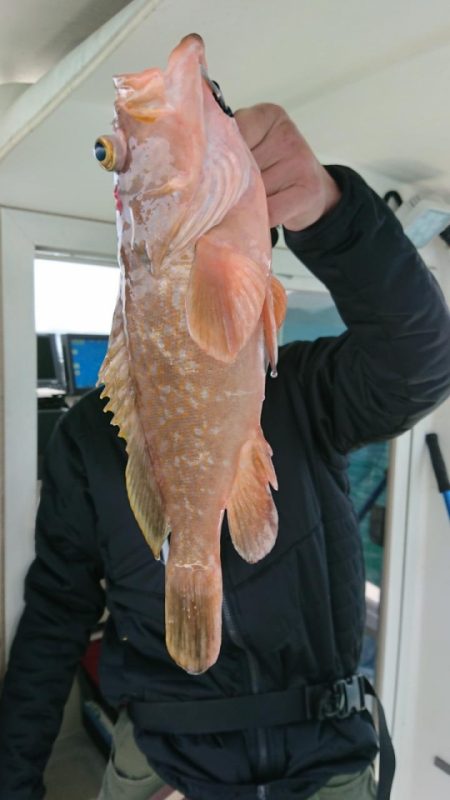 オーフリー 釣果