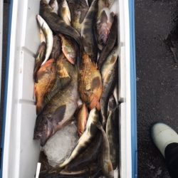 第八平成丸 釣果