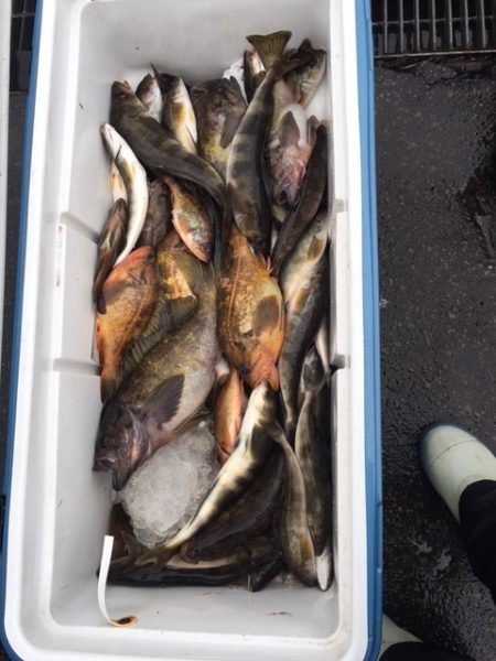 第八平成丸 釣果