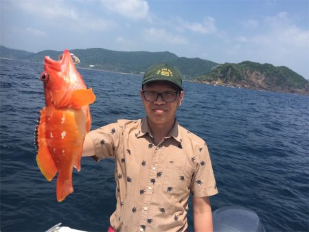 マタウマリンサービス 釣果