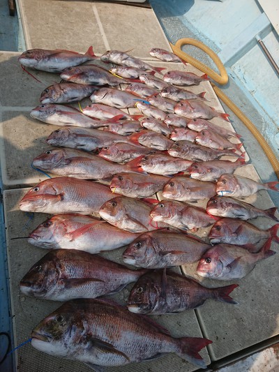 旭星釣りセンター 釣果