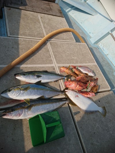 旭星釣りセンター 釣果