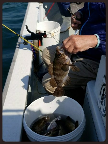 内浜丸 釣果