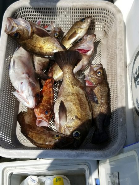 内浜丸 釣果