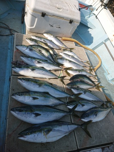 旭星釣りセンター 釣果