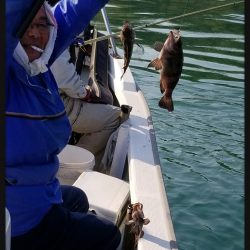 内浜丸 釣果