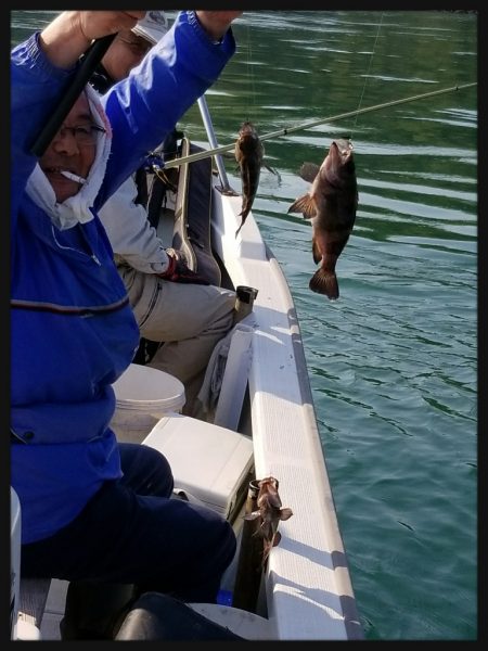 内浜丸 釣果