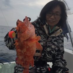 マタウマリンサービス 釣果