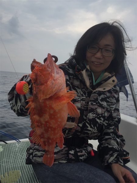 マタウマリンサービス 釣果