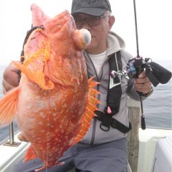 マタウマリンサービス 釣果