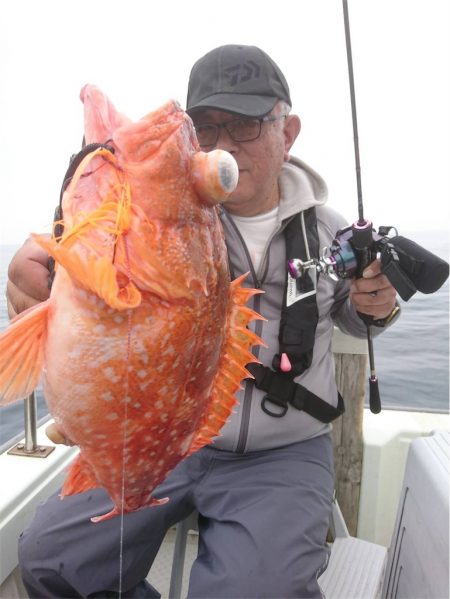 マタウマリンサービス 釣果