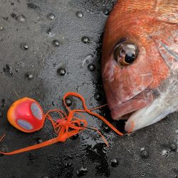 長栄丸(千葉) 釣果