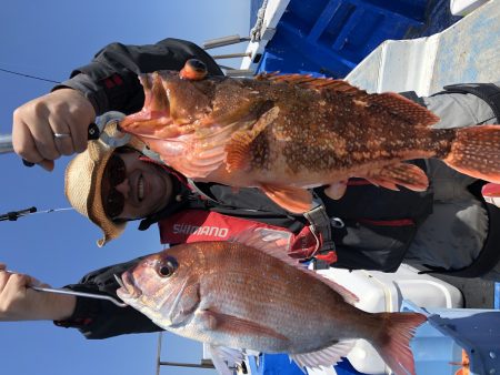 長栄丸(千葉) 釣果