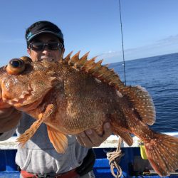 長栄丸(千葉) 釣果