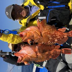 長栄丸(千葉) 釣果