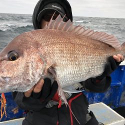 長栄丸(千葉) 釣果